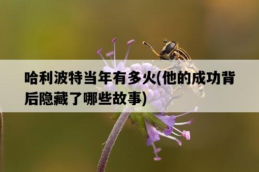 哈利波特當年有多火，他的成功背后隱藏了哪些故事-圖1