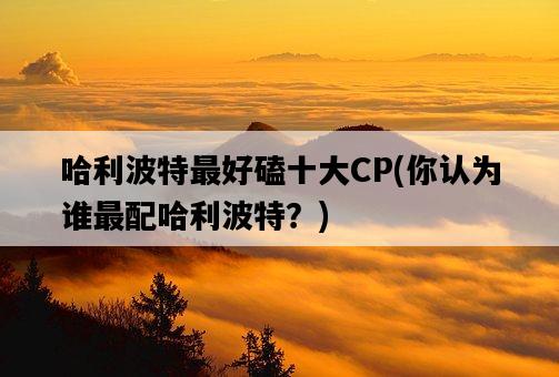 哈利波特最好磕十大CP，你認為誰最配哈利波特？-圖1