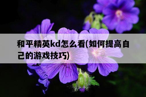 和平精英kd怎么看，如何提高自己的游戲技巧-圖1
