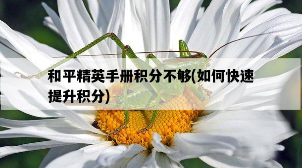 和平精英手冊積分不夠，如何快速提升積分-圖1
