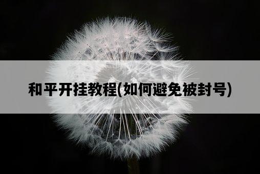 和平開掛教程，如何避免被封號-圖1
