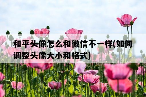 和平頭像怎么和微信不一樣，如何調整頭像大小和格式-圖1