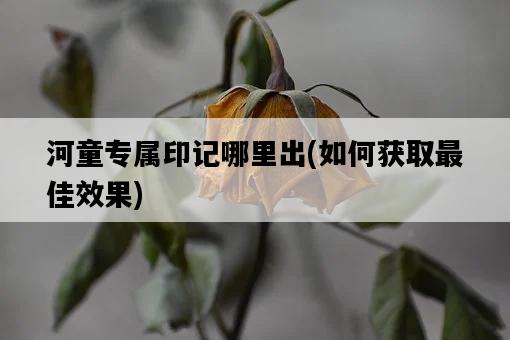 河童專屬印記哪里出，如何獲取最佳效果-圖1