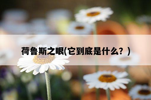 荷魯斯之眼，它到底是什么？-圖1