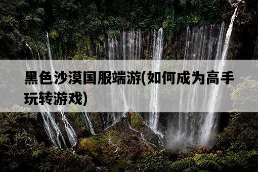 黑色沙漠國服端游，如何成為高手玩轉游戲-圖1