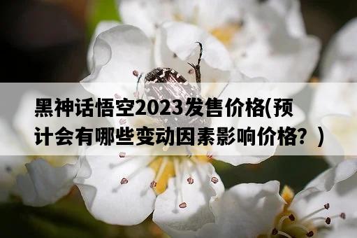 黑神話悟空2023發售價格，預計會有哪些變動因素影響價格？-圖1