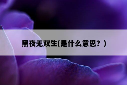 黑夜無雙生，是什么意思？-圖1
