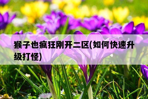 猴子也瘋狂剛開二區，如何快速升級打怪-圖1