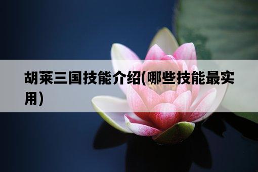 胡萊三國技能介紹，哪些技能最實用-圖1