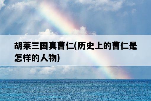 胡萊三國真曹仁，歷史上的曹仁是怎樣的人物-圖1