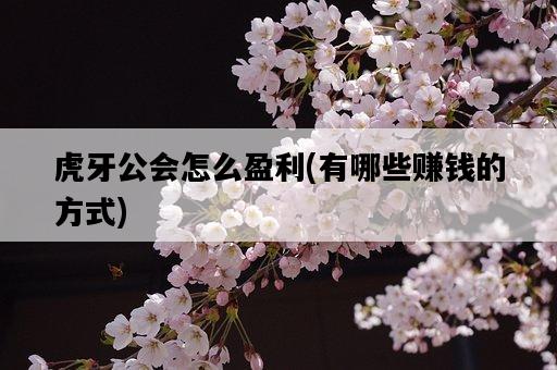 虎牙公會怎么盈利，有哪些賺錢的方式-圖1