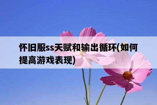 懷舊服ss天賦和輸出循環，如何提高游戲表現-圖1
