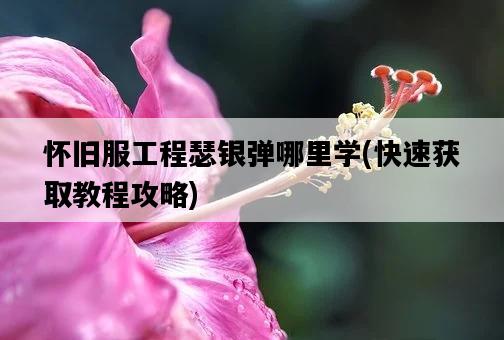 懷舊服工程瑟銀彈哪里學，快速獲取教程攻略-圖1