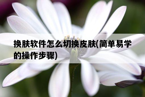 換膚軟件怎么切換皮膚，簡單易學的操作步驟-圖1