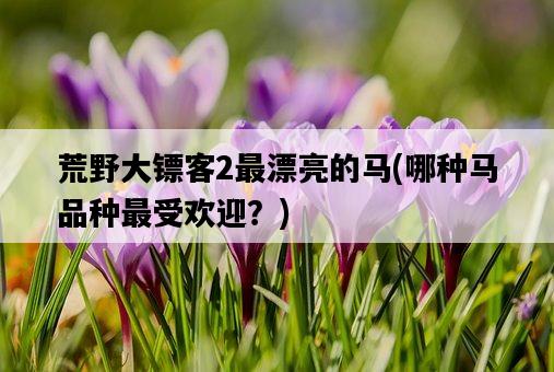 荒野大鏢客2最漂亮的馬，哪種馬品種最受歡迎？-圖1