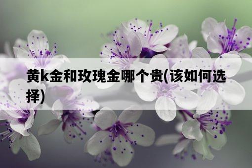 黃k金和玫瑰金哪個貴，該如何選擇-圖1