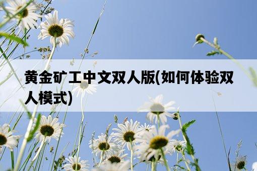 黃金礦工中文雙人版，如何體驗雙人模式-圖1