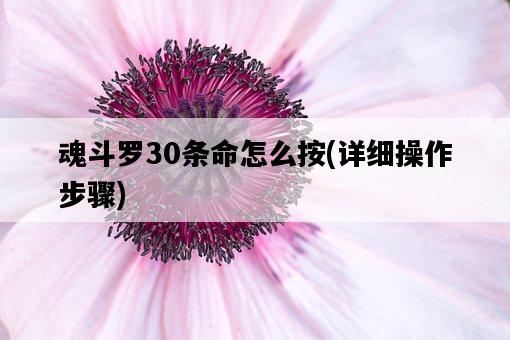 魂斗羅30條命怎么按，詳細操作步驟-圖1