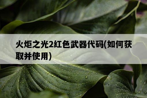 火炬之光2紅色武器代碼，如何獲取并使用-圖1