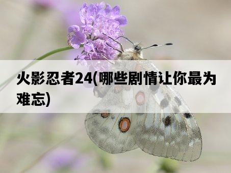 火影忍者24，哪些劇情讓你最為難忘-圖1