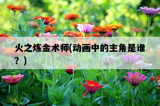 火之煉金術師，動畫中的主角是誰？-圖1