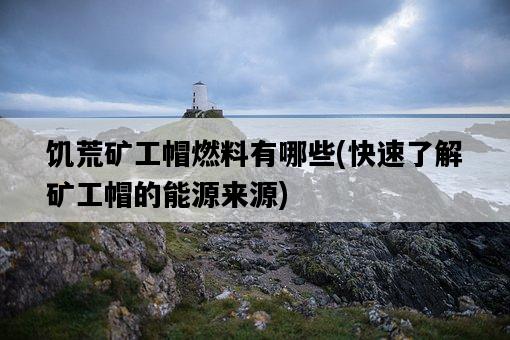 饑荒礦工帽燃料有哪些，快速了解礦工帽的能源來源-圖1