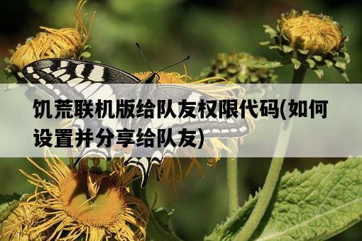 饑荒聯機版給隊友權限代碼，如何設置并分享給隊友-圖1