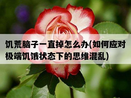 饑荒腦子一直掉怎么辦，如何應對極端饑餓狀態下的思維混亂-圖1