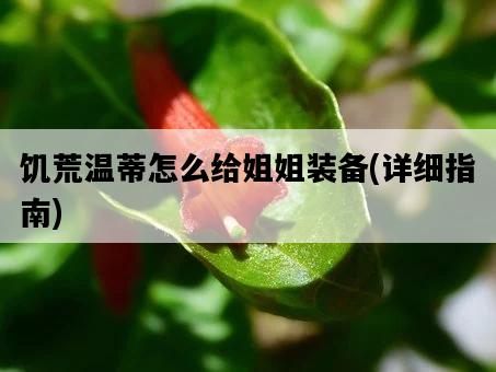 饑荒溫蒂怎么給姐姐裝備，詳細指南-圖1