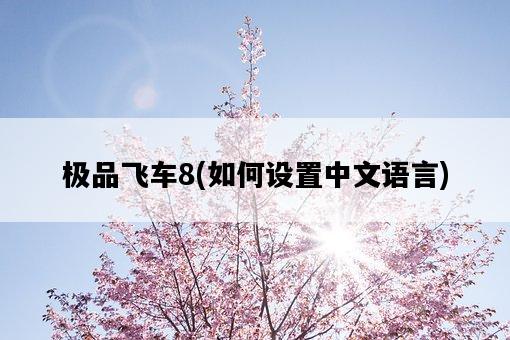 極品飛車8，如何設置中文語言-圖1
