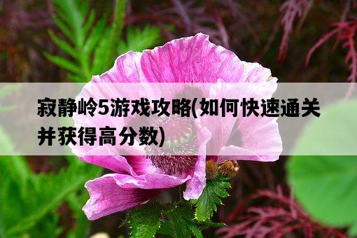 寂靜嶺5游戲攻略，如何快速通關并獲得高分數-圖1