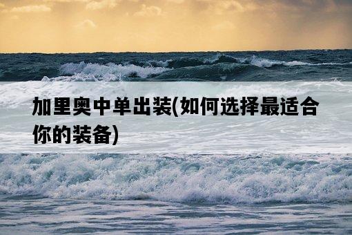 加里奧中單出裝，如何選擇最適合你的裝備-圖1