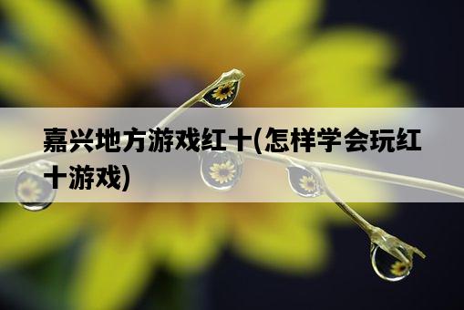 嘉興地方游戲紅十，怎樣學會玩紅十游戲-圖1