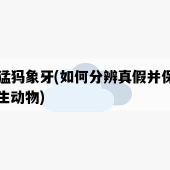 假猛犸象牙，如何分辨真假并保護野生動物-圖1