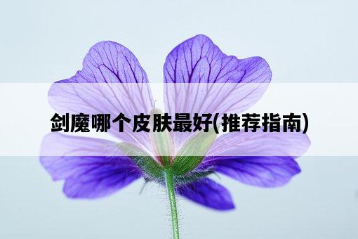 劍魔哪個皮膚最好，推薦指南-圖1
