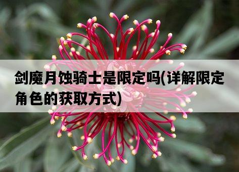 劍魔月蝕騎士是限定嗎，詳解限定角色的獲取方式-圖1