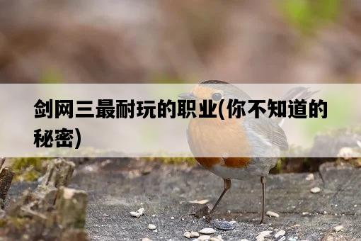 劍網三最耐玩的職業，你不知道的秘密-圖1