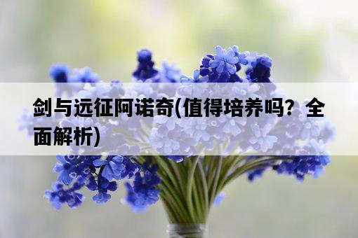劍與遠征阿諾奇，值得培養嗎？全面解析-圖1