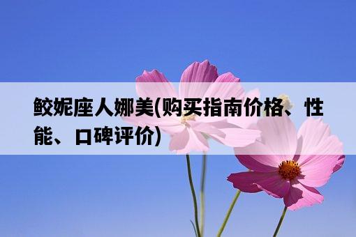 鮫妮座人娜美，購買指南價格、性能、口碑評價-圖1