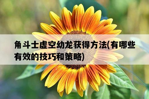 角斗士虛空幼龍獲得方法，有哪些有效的技巧和策略-圖1
