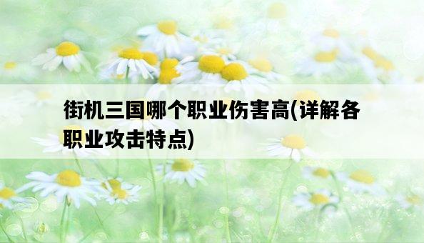 街機三國哪個職業傷害高，詳解各職業攻擊特點-圖1