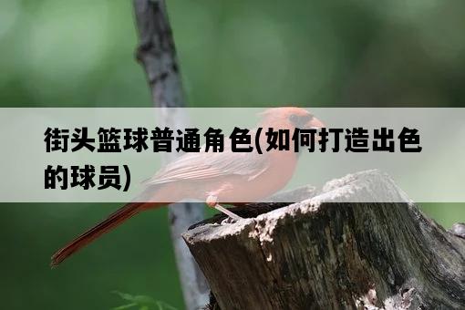 街頭籃球普通角色，如何打造出色的球員-圖1