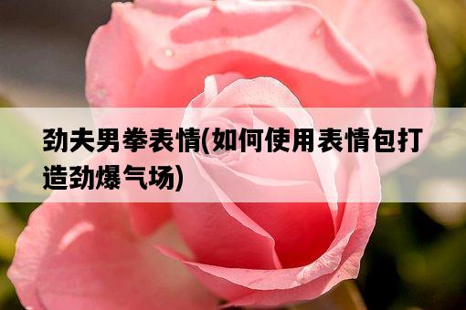 勁夫男拳表情，如何使用表情包打造勁爆氣場-圖1