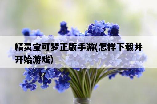 精靈寶可夢正版手游，怎樣下載并開始游戲-圖1
