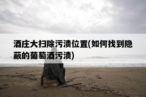 酒莊大掃除污漬位置，如何找到隱蔽的葡萄酒污漬-圖1