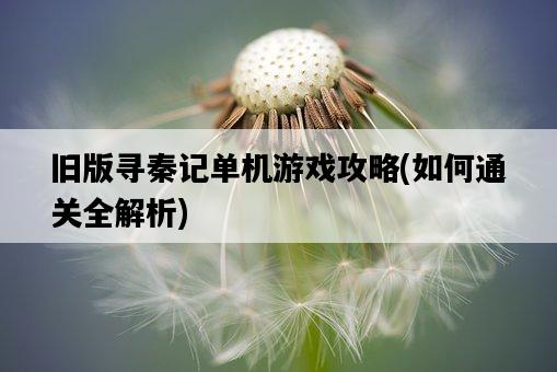 舊版尋秦記單機游戲攻略，如何通關全解析-圖1