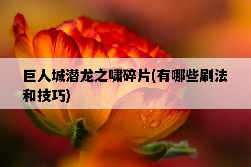 巨人城潛龍之嘯碎片，有哪些刷法和技巧-圖1