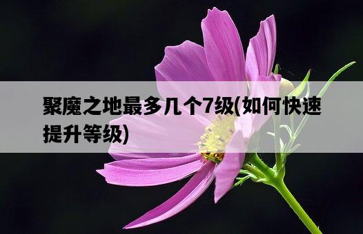 聚魔之地最多幾個7級，如何快速提升等級-圖1
