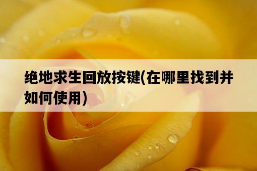 絕地求生回放按鍵，在哪里找到并如何使用-圖1
