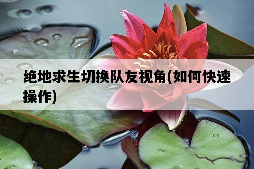 絕地求生切換隊友視角，如何快速操作-圖1